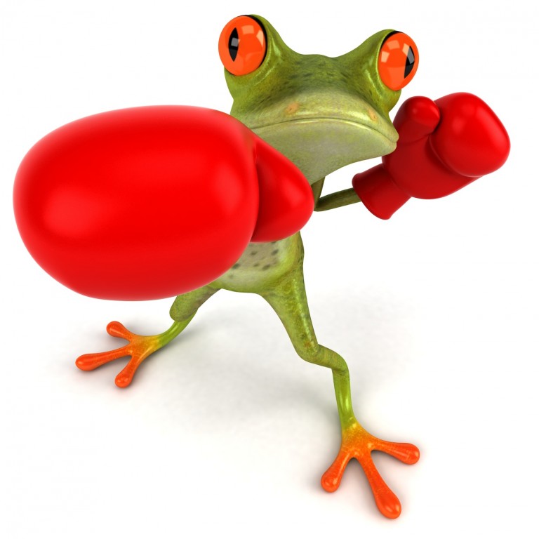 Grenouille boxe